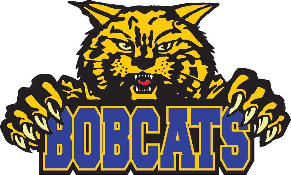 District Logo